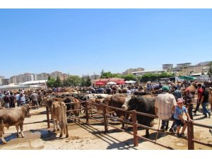 Nevşehir’de Hayvan Pazarı 1 Mart’ta yeniden açılıyor