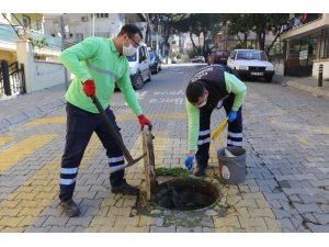 Efeler Belediyesi kent zararlıları ile mücadele ediyor