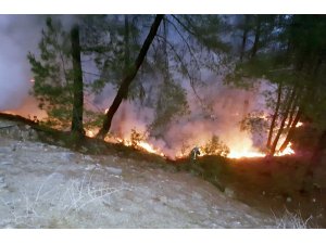 Muğla’da yılın ilk orman yangını