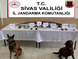 Sivas’ta adet adet silah ele geçirildi, 8 kişi tutuklandı
