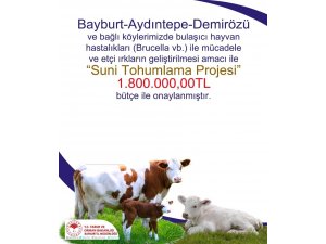 Bayburt’ta “Suni Tohumlama Projesi” için 1 milyon 800 bin TL’lik bütçe onaylandı