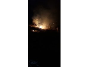 Burhaniye’de meydana gelen kıyı yangınını itfaiye söndürdü