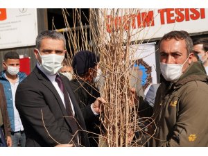 İpek böceği üretimine Diyarbakır Büyükşehir Belediyesinden destek