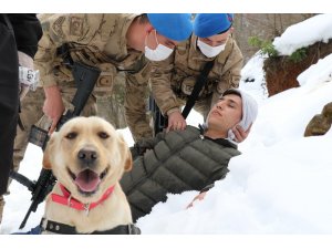 Zonguldak Jandarması’nın ’süper burun’ köpekleri