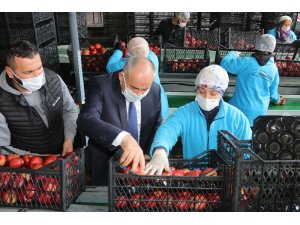 Başkan Öztürk; “Elma üreticilerinin sorunlarını çözmek istiyoruz”