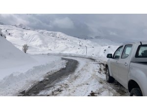Tunceli’de kar nedeniyle kapanan 20 köy yolundan 17’si açıldı