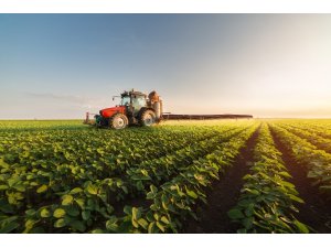 Organik tarım sektöründe büyük güç birliği