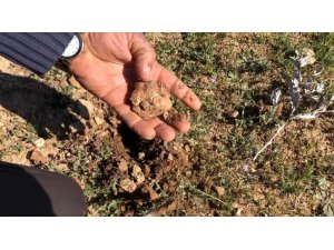 Şanlıurfa’nın vazgeçilmez lezzeti keme Kebabı