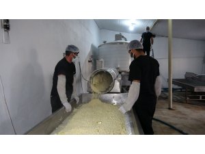 Yarım asırlık işletme, sofraları süsleyen kaşar peyniri üretiyor