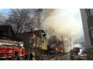 Artvin’de 15 yılda 123 köy yangınında 268 ev yandı