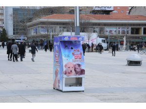 Kırşehir Belediyesi sokak hayvanları için ‘mamamatik’ uygulama noktası oluşturdu