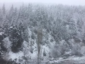 Adana’nın yüksek kesimlerinde kar yağışı etkili oldu