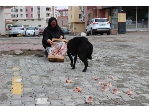 Kısıtlamalarda hayvan severler sokak hayvanlarını unutmadı