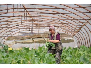 Beykoz’da  Adil Sözleşmeli Tarım Projesiyle üretilen ürünler ihtiyaç sahipleriyle buluşturulacak