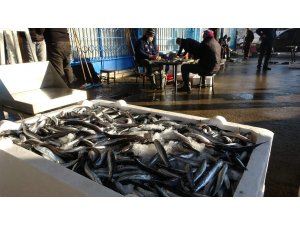 Trabzon’da son 7 yıldaki balık miktarı 40 milyon kilograma yaklaştı