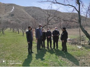 Tuşba Belediyesinden çiftçilere uygulamalı ağaç budama eğitimi