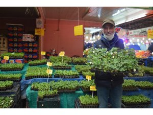 Yılın ilk sebze fideleri pazar tezgâhlarını yeşillendirdi
