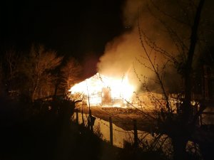 Sinop’ta ahır yangını: 12 büyükbaş hayvan telef oldu