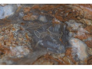 Mersin’de bir mağarada bulunan 8 bin yıllık kaya resimleri için ilk adım atılıyor