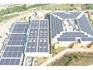 Escon Enerji Novartis’in iki fabrikasına güneş enerji sistemi kurdu