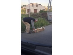 Sarıyer’de bağladığı köpeği sürükleyerek çöpe atan şahıs yakalandı