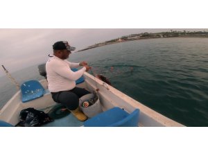 Amatör balıkçı, ağa takılan Caretta Caretta’yı ‘gülüm, bir tanem’ diyerek kurtardı