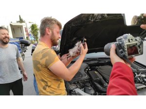 Otomobilin motorundan çıkardığı kediyi sahiplendi