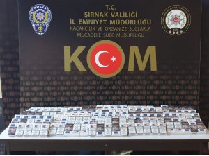 Şırnak’ta kaçakçılık operasyonu: 31 gözaltı