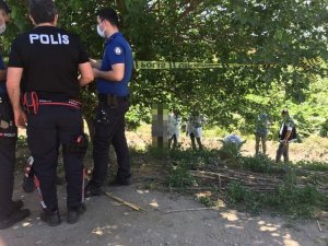 Polis ekipleri, ağaca asılı halde buldu