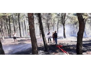 2 hektarlık alanın kül olduğu orman yangını büyümeden söndürüldü