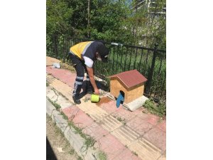 Kastamonu Belediyesi tam kapanma sürecinde sokak havanlarını unutmadı