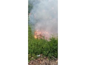 Zonguldak’ta çıkan yangın korkuttu