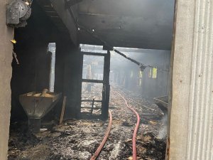 Sakarya’da tavuk çiftliğinde yangın: 10 bin 500 civciv telef oldu