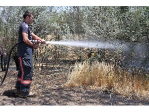 Elazığ’da yangın: 12 dönüm ekili alan kül oldu