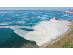 Yalova kıyılarında müsilaj görülmeye devam ediyor