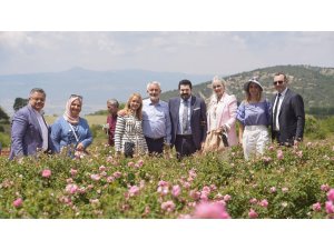 8 belediye başkanı ve 4 milletvekili Isparta’da gül topladı
