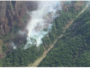 Tunceli’de orman yangını, ekipler müdahale ediyor