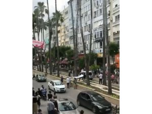Antalya’da 20 metre uzunluğunda palmiye ağacına çıkan kedi vatandaşların açtığı brandaya düştü