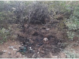 İzmir’de orman yangını çıkarmak isteyen şüpheli, PKK/KCK üyesi çıktı