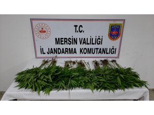 Mersin’de uyuşturucu operasyonu: 7 gözaltı