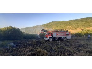 Tunceli’de ormanlık alana sıçrayan yangın büyümeden söndürüldü