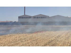 İslahiye’de anız yangını az kalsın fabrikayı yok ediyordu
