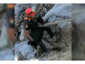 Kayalıklarda mahsur kalan oğlak kurtarıldı