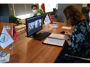 Düzce Üniversitesinden çevrim içi protokol