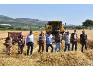 Manisa’da hububat hasadı devam ediyor