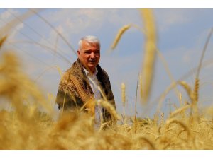 Saruhanlı Belediyesi ihtiyaç sahipleri için buğday hasadı yaptı