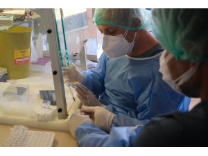 Sinovac’da 3’üncü ay sonuçları: Antikor düşse de hastalanan kişi sayısı yüzde 2’lerde kaldı