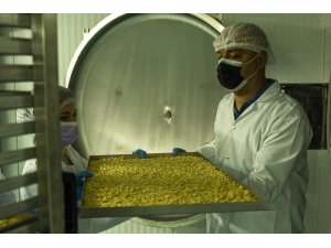 Gastronomi Şehrinin” Modern Kurutmalıkları” dünyaya ihraç ediliyor