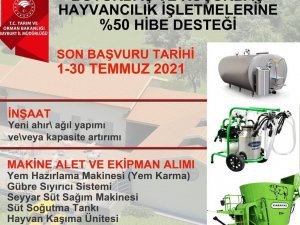 Hayvancılık işletmelerine yüzde 50 hibe desteği