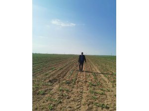 Konya Şeker’den 57 milyon 210 bin TL’lik nakit avans desteği